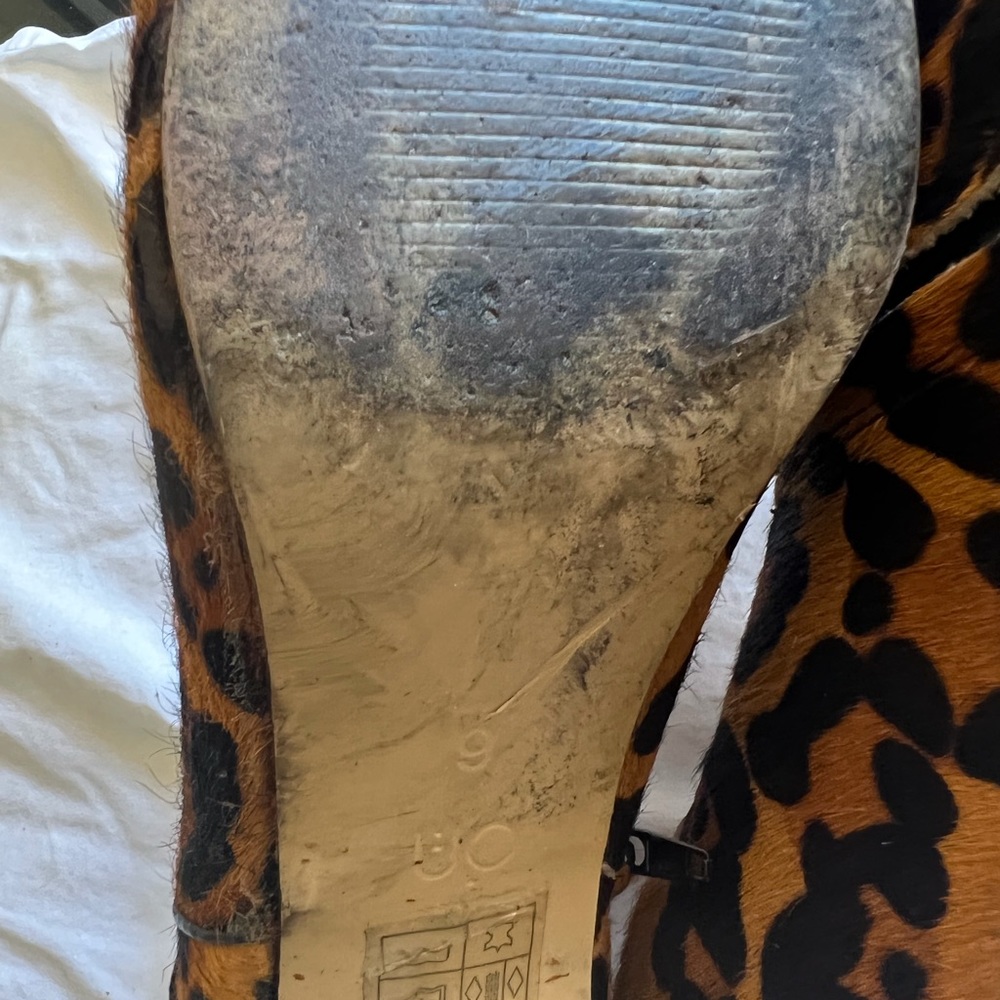 Leopard Booties - Picture 1 of 5
